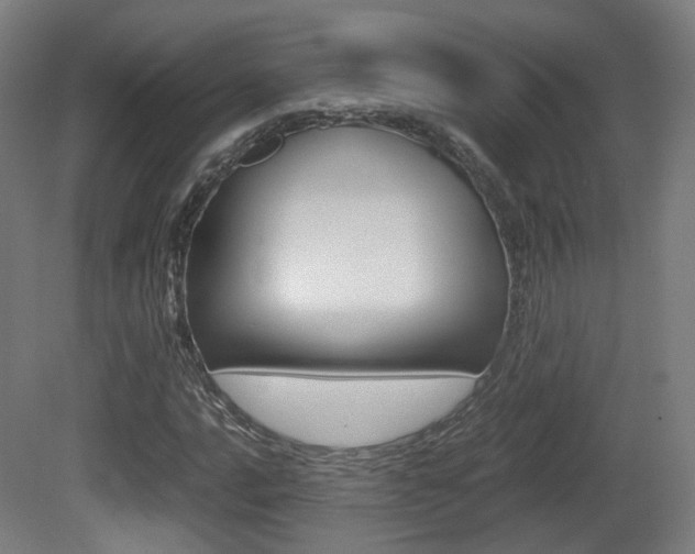 X0000081391016200701111201