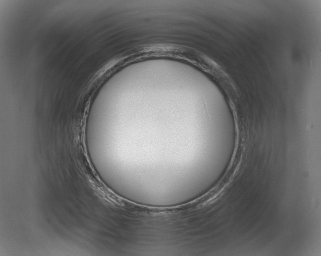 X0000081391017200701111201