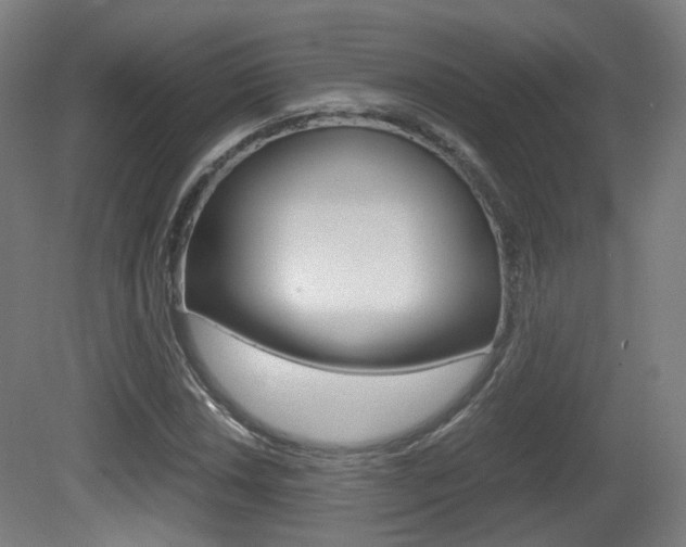 X0000081391018200701111201