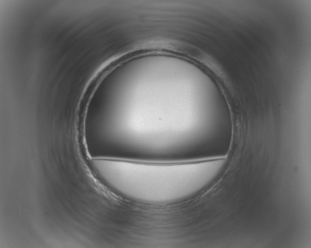 X0000081391020200701111201