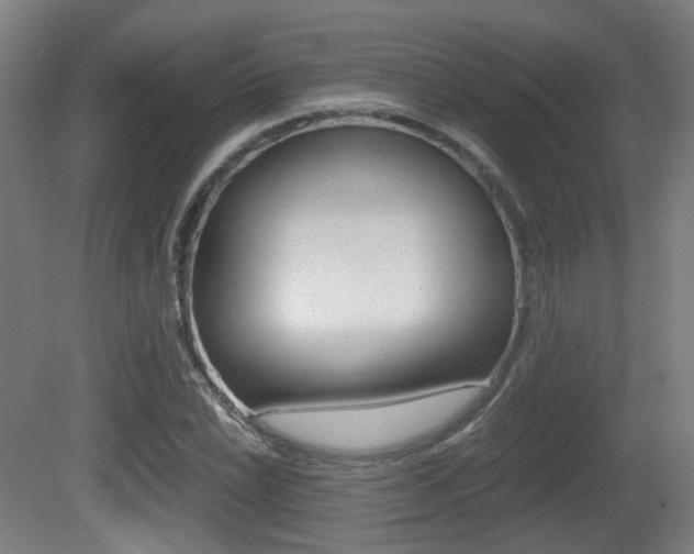 X0000081391022200701111201