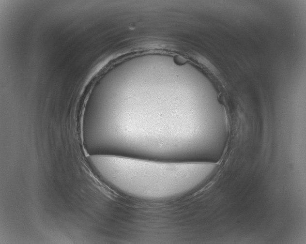 X0000081391023200701111201
