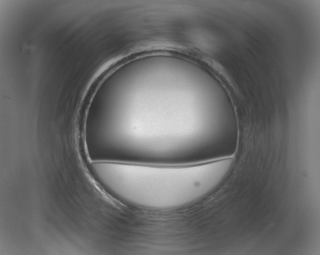 X0000081391024200701111201