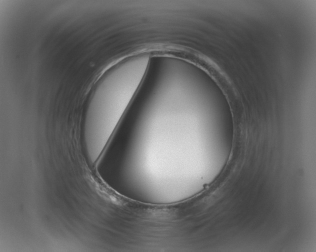 X0000081391025200701111201