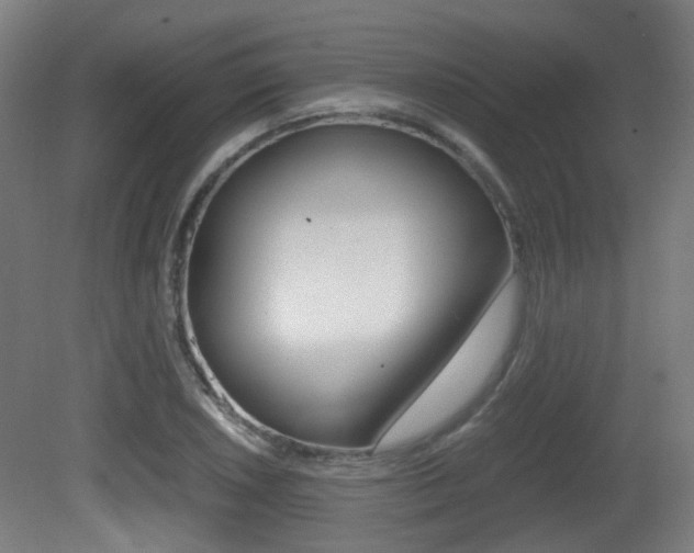 X0000081391026200701111201