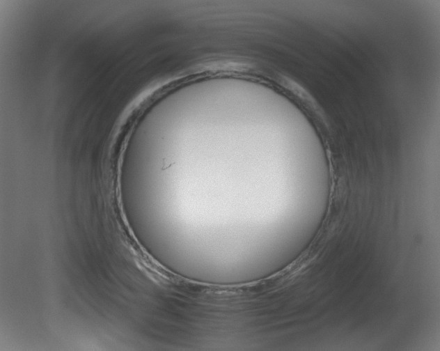 X0000081391027200701111201