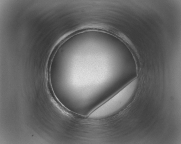 X0000081391028200701111201