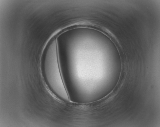 X0000081391029200701111201
