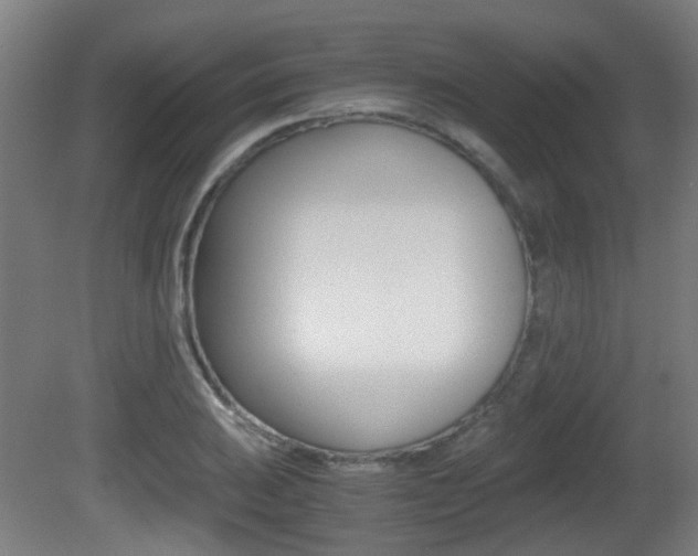 X0000081391031200701111201
