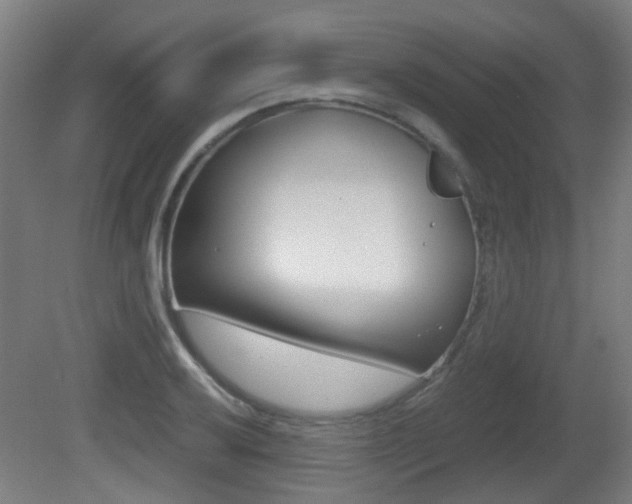 X0000081391032200701111201