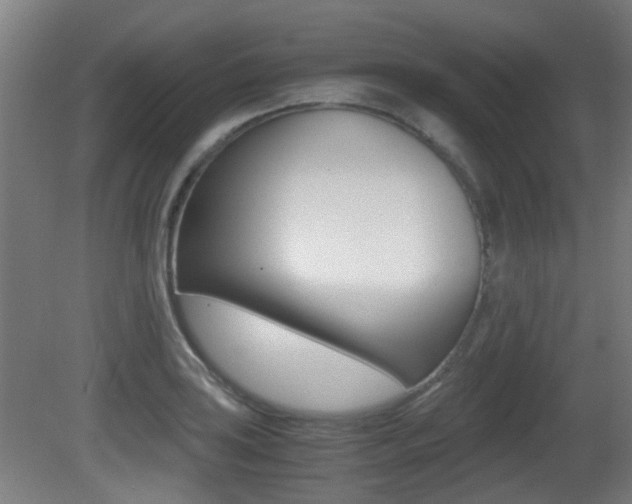 X0000081391035200701111201
