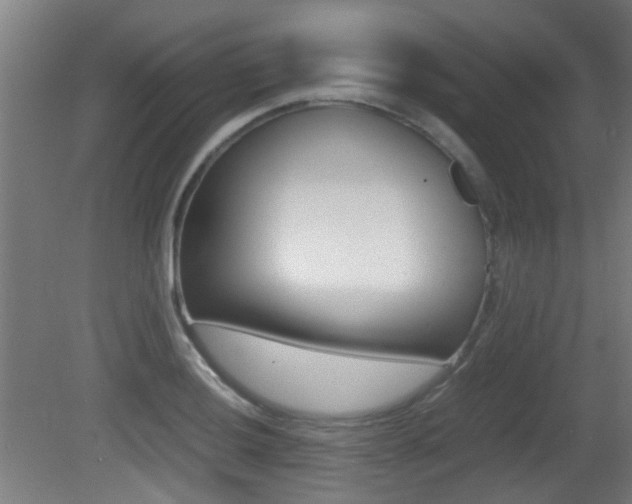 X0000081391036200701111201