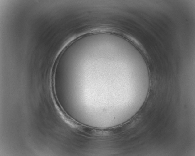 X0000081391039200701111201