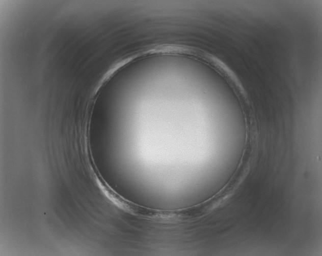 X0000081391041200701111201