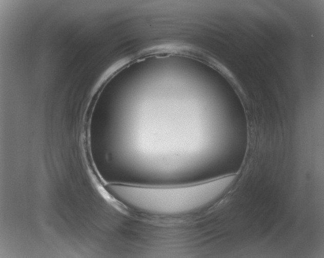 X0000081391042200701111201