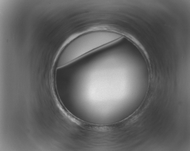 X0000081391045200701111201