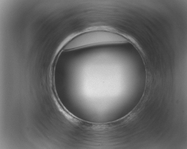X0000081391046200701111201