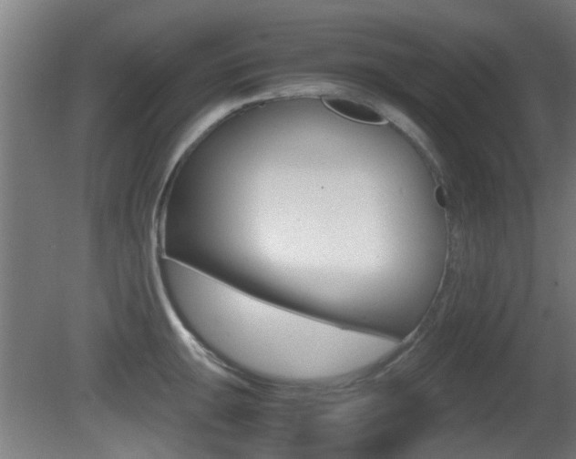 X0000081391047200701111201