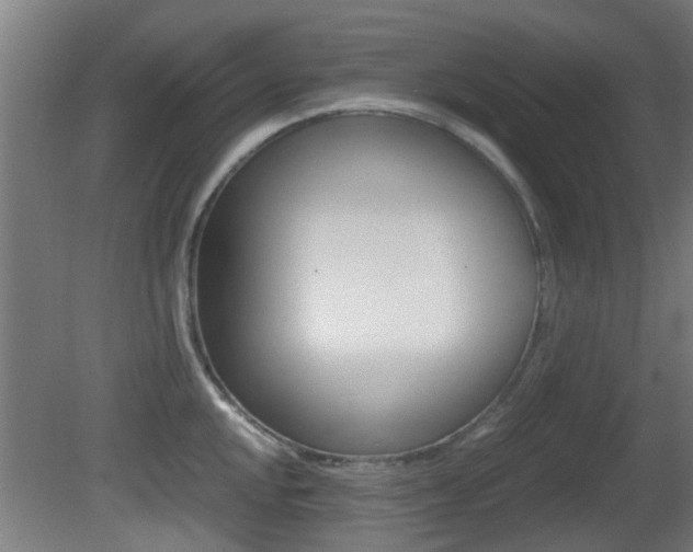 X0000081391048200701111201