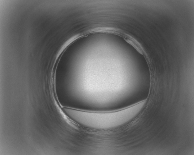X0000081391050200701111201