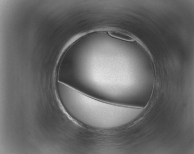 X0000081391053200701111201