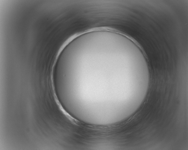 X0000081391054200701111201