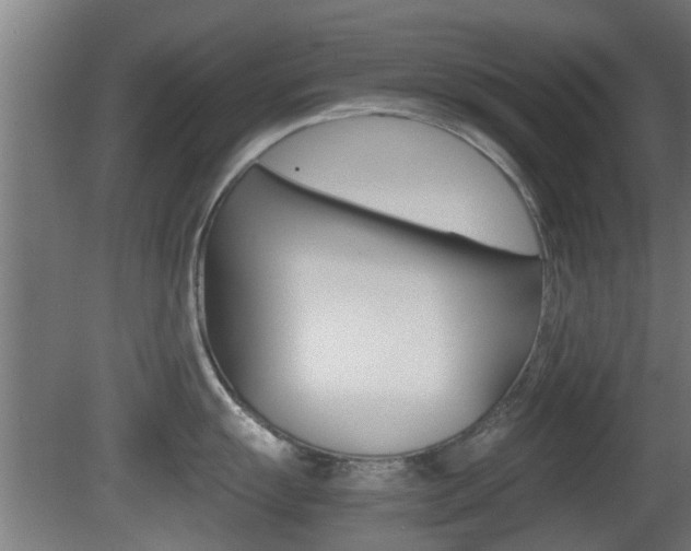 X0000081391055200701111201