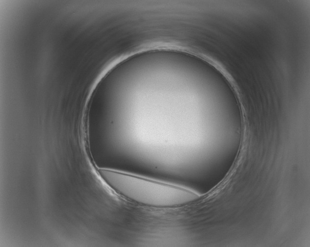 X0000081391056200701111201