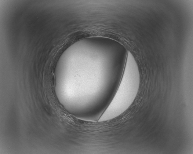 X0000081391057200701111201
