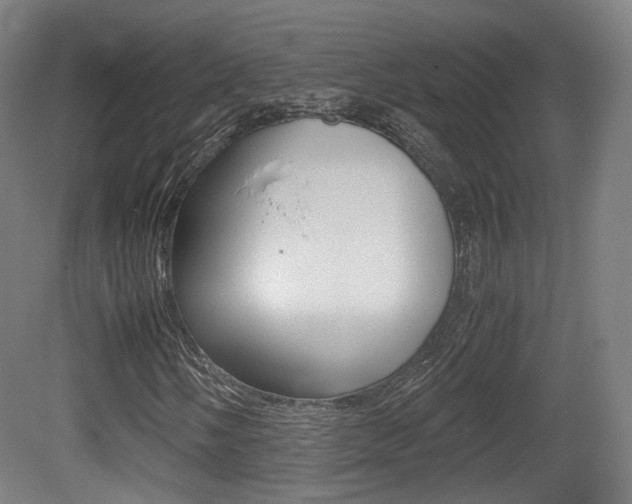 X0000081391058200701111201