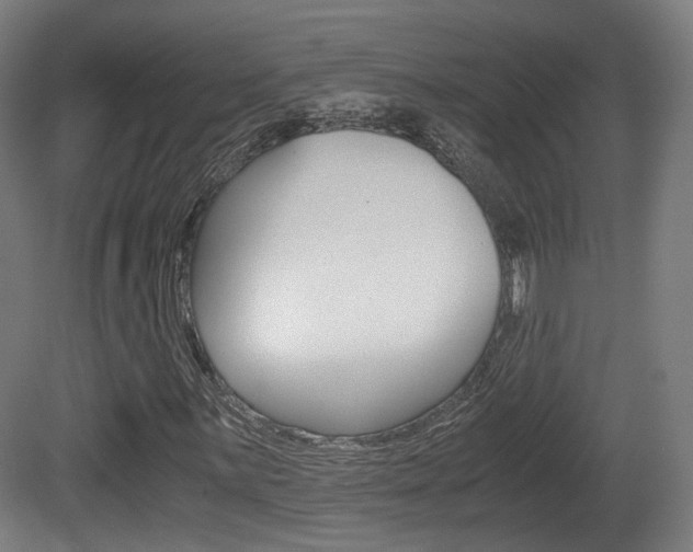 X0000081391059200701111201