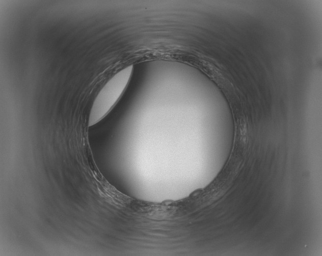 X0000081391060200701111201