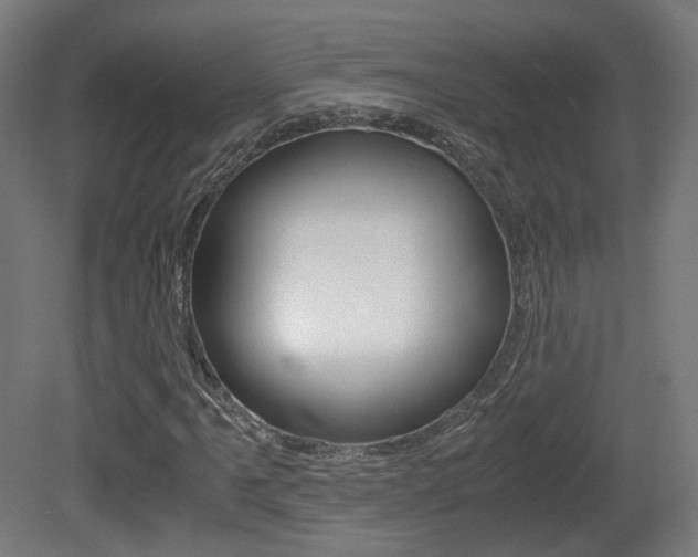 X0000081391061200701111201