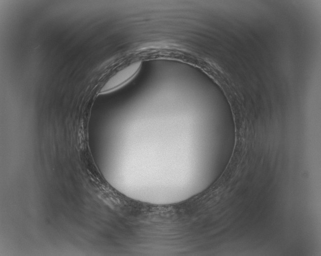 X0000081391062200701111201