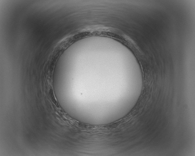 X0000081391063200701111201