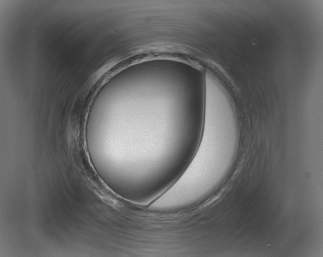 X0000081391065200701111201