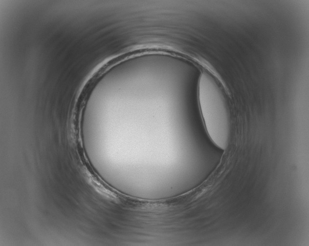 X0000081391068200701111200