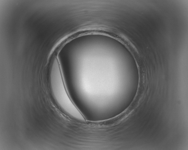 X0000081391069200701111200