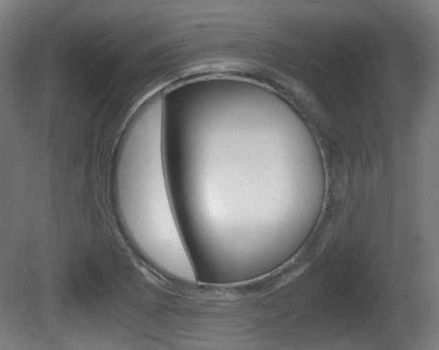 X0000081391073200701111200