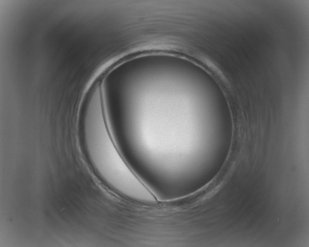 X0000081391077200701111200