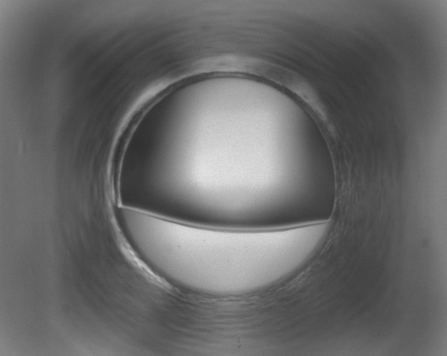 X0000081391080200701111200