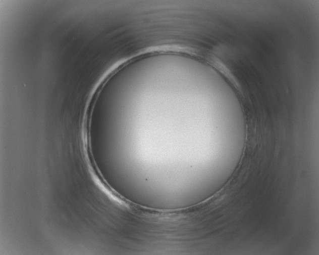 X0000081391084200701111200