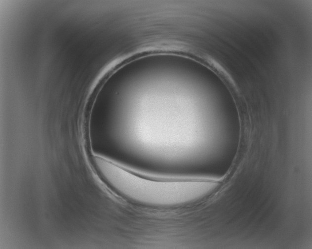 X0000081391085200701111200