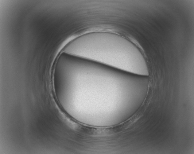 X0000081391087200701111200