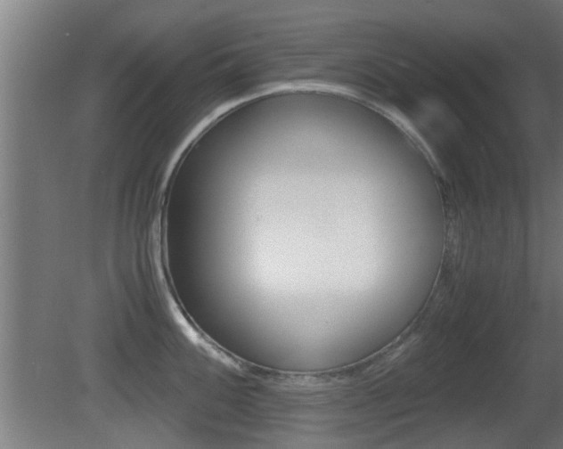 X0000081391100200701111200