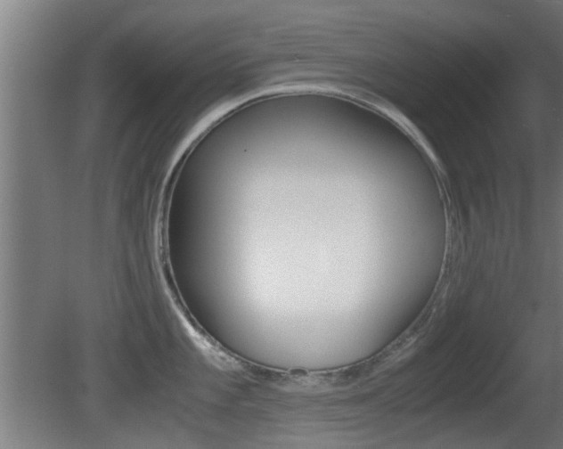X0000081391101200701111200