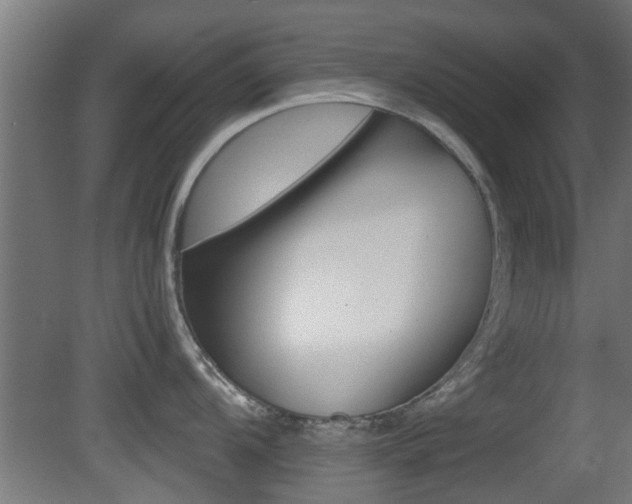 X0000081391104200701111200