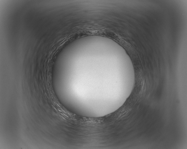 X0000081391105200701111159