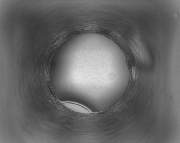 X0000081391107200701111159