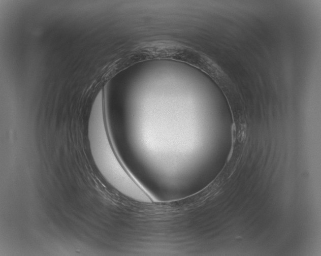 X0000081391108200701111159